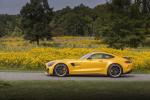 Mercedes-AMG GT R 2019 года (NA)